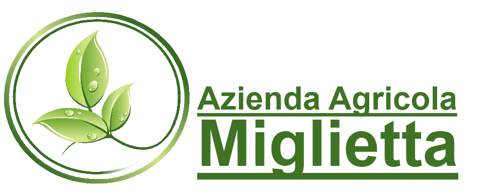 Azienda Agricola Miglietta